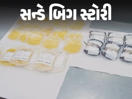 નકલી પ્લાઝમાનું કૌભાંડ: ડોક્ટરે કહી ધ્યાનમાં રાખવા જેવી ખાસ વાત
