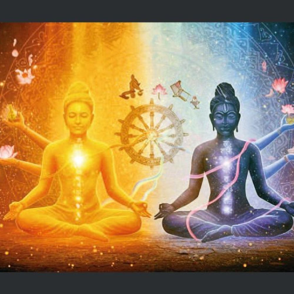 શુભમકુમાર સિંઘનું પુસ્તક: 'ધ આર્ટ ઓફ ડિટેચમેન્ટ' - મોહમુક્તિની કળા