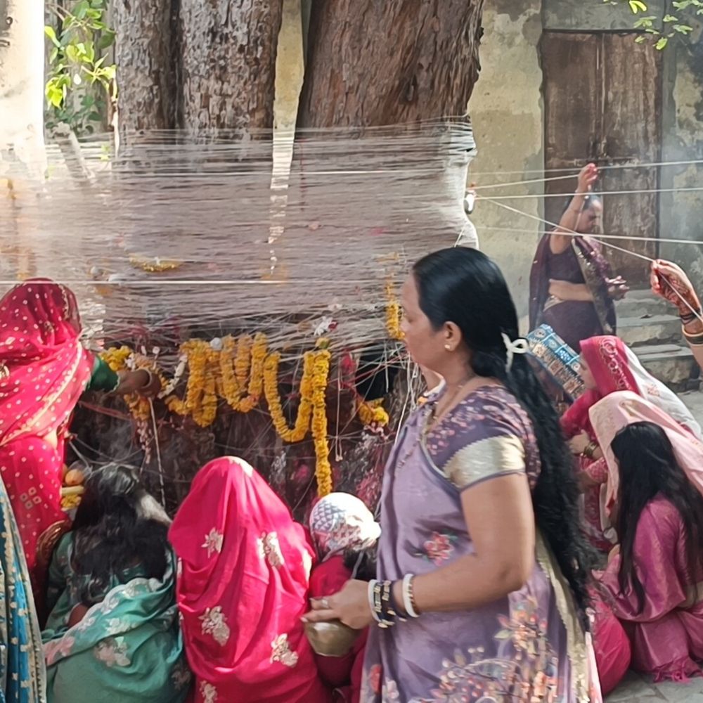 પાટણમાં વડ સાવિત્રી વ્રતની ઉજવણી કરાઈ:અંબાજી મંદિર પાસે ઐતિહાસિક વડલાનું શાસ્ત્રોક્ત વિધિથી પૂજન
