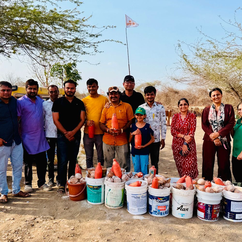 1000થી વધુ કીડિયારાં મુકી જીવદયાનો સંદેશ:યુવા શક્તિ ફાઉન્ડેશન અને ભોલેનાથ જીવદયા ગ્રુપે મોરબીમાં કીડિયારું મહોત્સવ યોજ્યો
