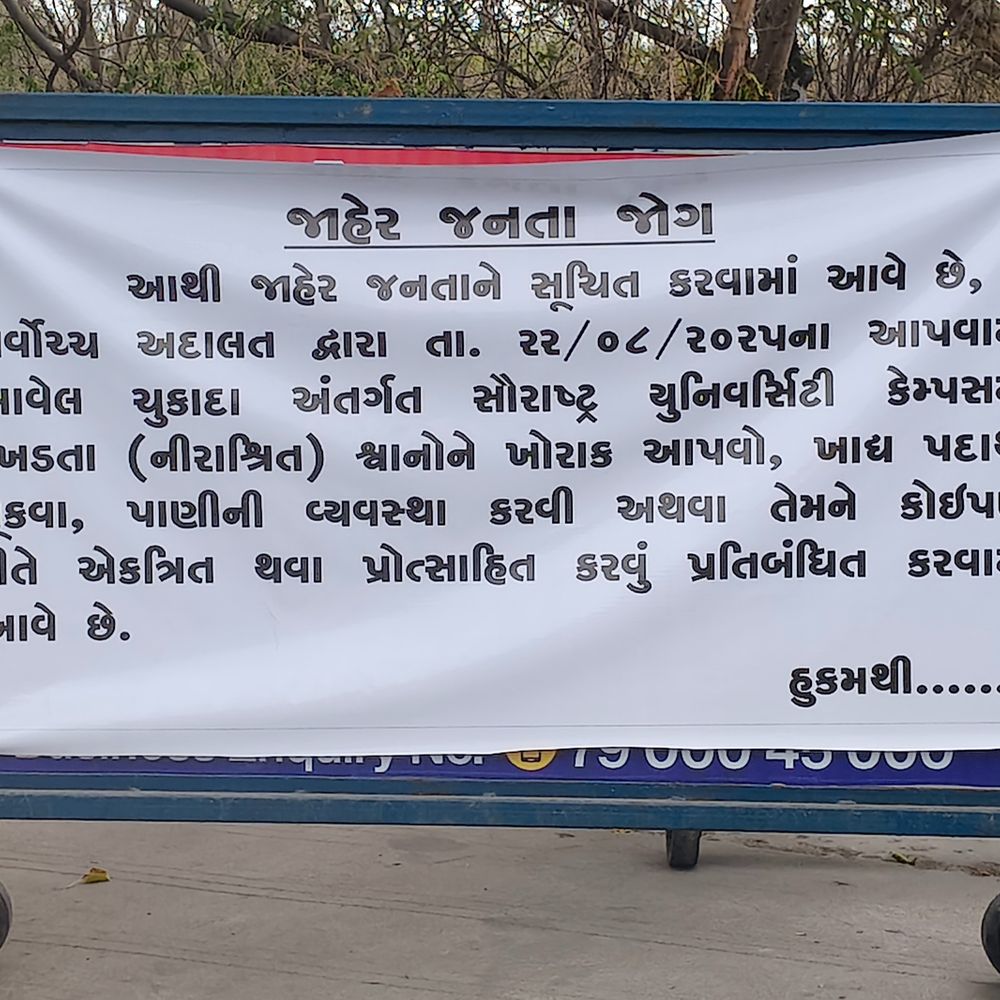 સૌરાષ્ટ્ર યુનિ.માં 100 શ્વાનોને ખોરાક આપવા પર પ્રતિબંધ:શૈક્ષણિક કેમ્પસમાં બેનરો લાગતા જીવદયા પ્રેમીઓ આકરા પાણીએ, VC-રજીસ્ટ્રારે સુપ્રીમ કોર્ટની ગાઇડલાઇનની અમલવારી ગણાવી