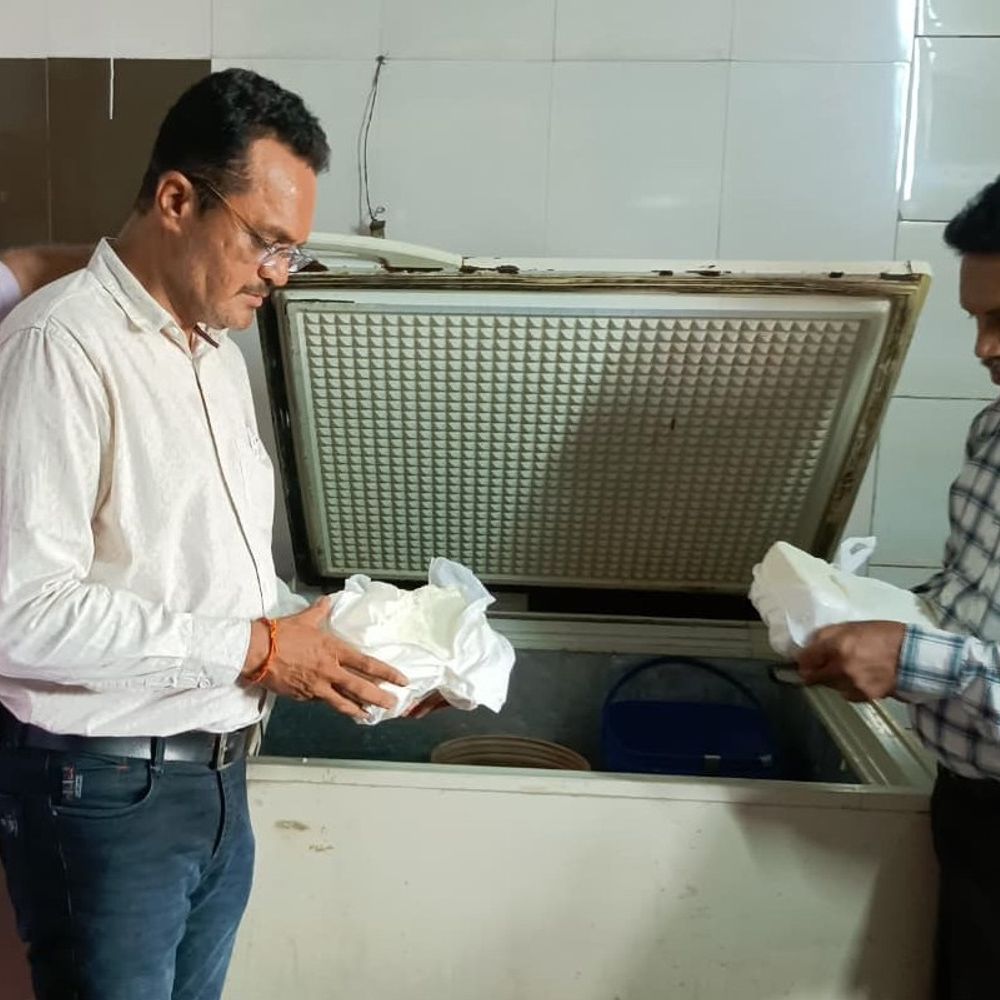રાજકોટમાં ફૂડ વિભાગનું મેગા સર્ચ ઓપરેશન:જુદી-જુદી 84 પેઢીઓમાં તપાસ કરી 518 કિલો અખાદ્ય જથ્થાનો નાશ, 6 મોટી પેઢીઓ સીલ અને રૂ.79,500નો દંડ વસૂલાયો, પનીરના ઉત્પાદનમાં એસિટિક એસિડનાં ઉપયોગનો પર્દાફાશ