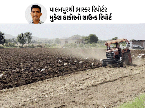 પાલનપુરના ખેડૂતોની વ્યથા: તળાવો ભરો, કેનાલમાં પાણી છોડો