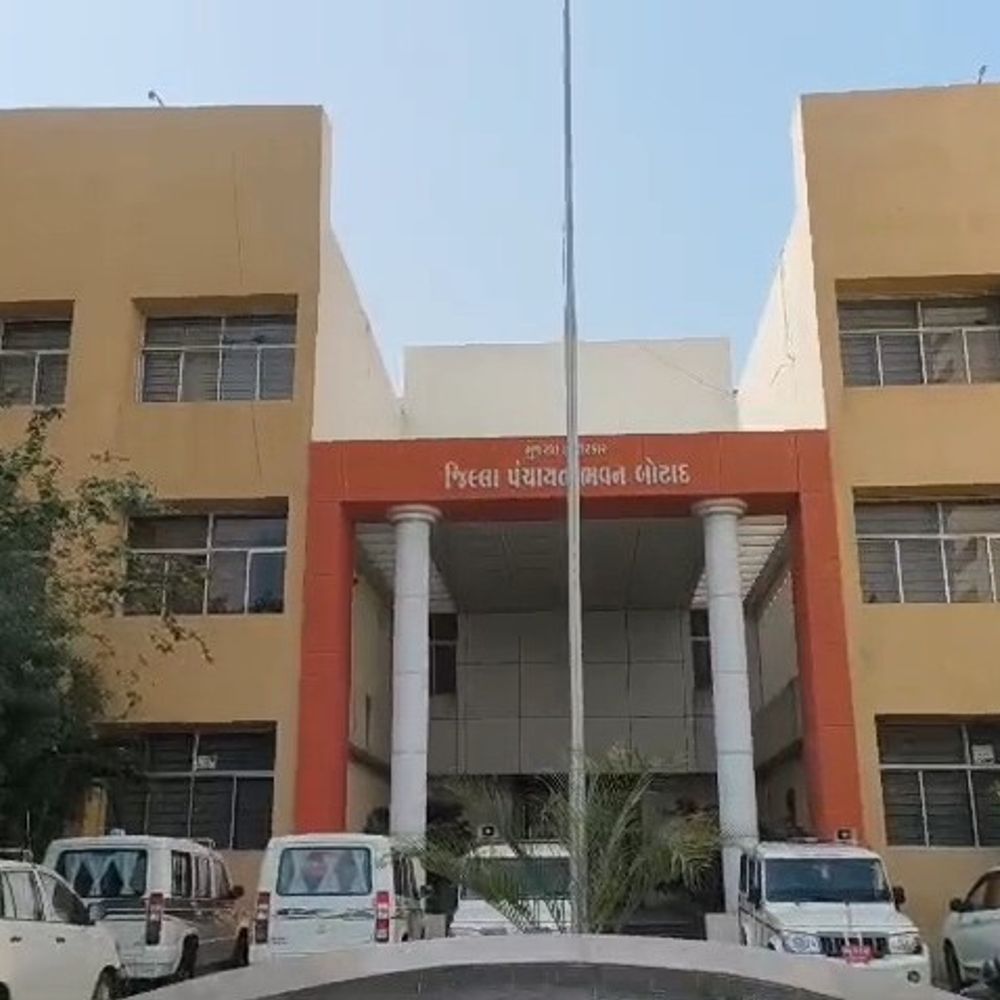 બોટાદ જિલ્લા પંચાયતની સામાન્ય સભા યોજાઈ:8 સમિતિઓની રચના, ચેરમેનોની વરણી ટૂંક સમયમાં