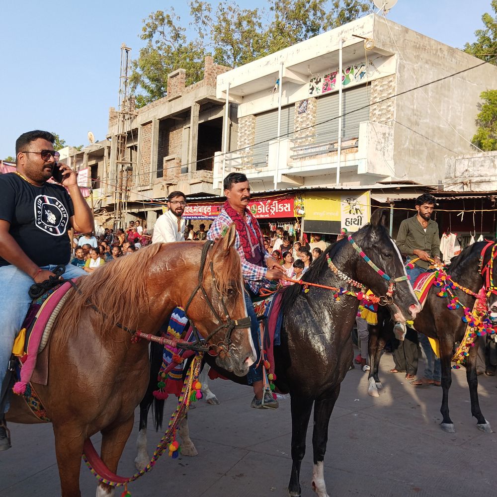 મોરબીના જેતપર ગામે ખેડૂત આંદોલન વધુ ઉગ્ર બન્યું:અશ્વપાલકોનું સમર્થન, ‘આંદોલન પાર્ટ-3’ અને વીજપોલ કાપી નાખવાની ચીમકી; ખેડૂતો આરપારની લડાઈ લડવાના મૂડમાં