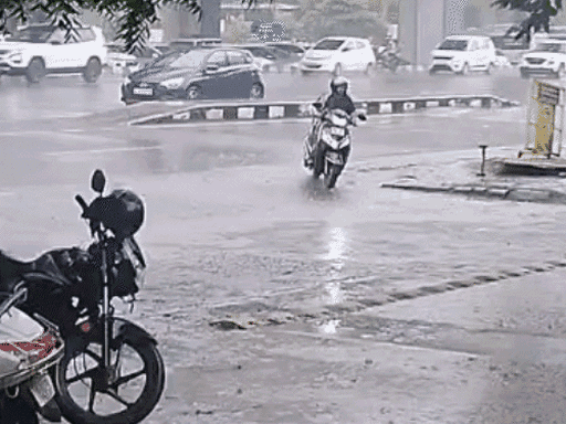 રાજ્યમાં ધોધમાર વરસાદની આગાહી: 8 જિલ્લામાં યલો એલર્ટ