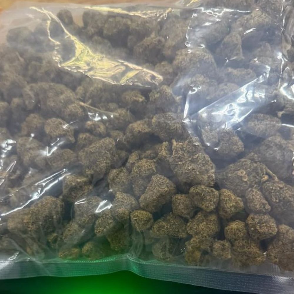 થાઈલેન્ડથી આવેલા પાર્સલમાંથી 50 લાખનો શંકાસ્પદ ગાંજો ઝડપાયો:ફોરેન પોસ્ટ ઓફિસમાં શંકાસ્પદ પાર્સલ અટકાવ્યું, બે પોલીથીનના પેકેટમાં 467.50 ગ્રામ જથ્થો મળ્યો