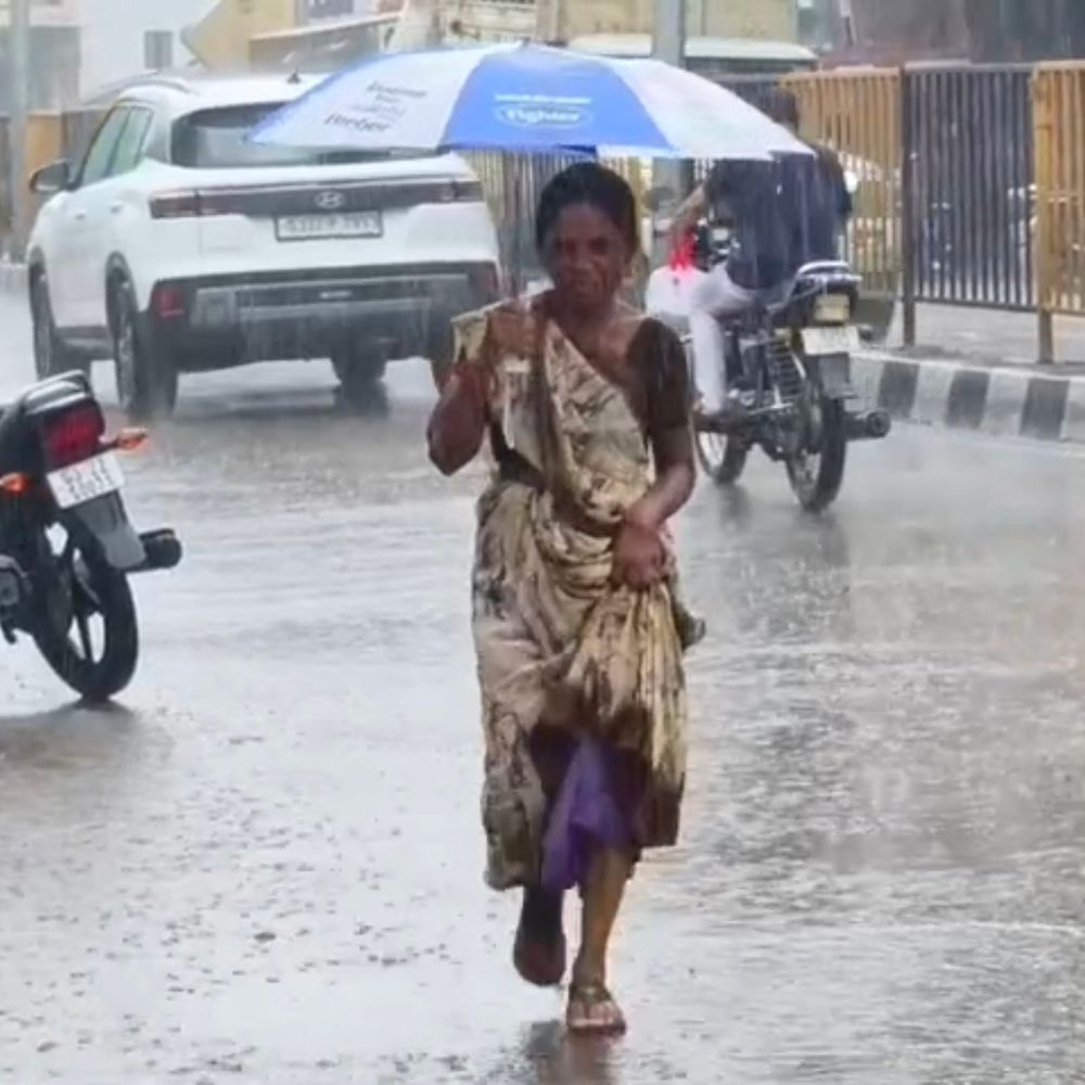 નર્મદા જિલ્લામાં ધોધમાર વરસાદ, સાગબારામાં 2 ઇંચ:રાજપીપળા સહિત 6 તાલુકામાં લાંબા વિરામ બાદ મેઘમહેર