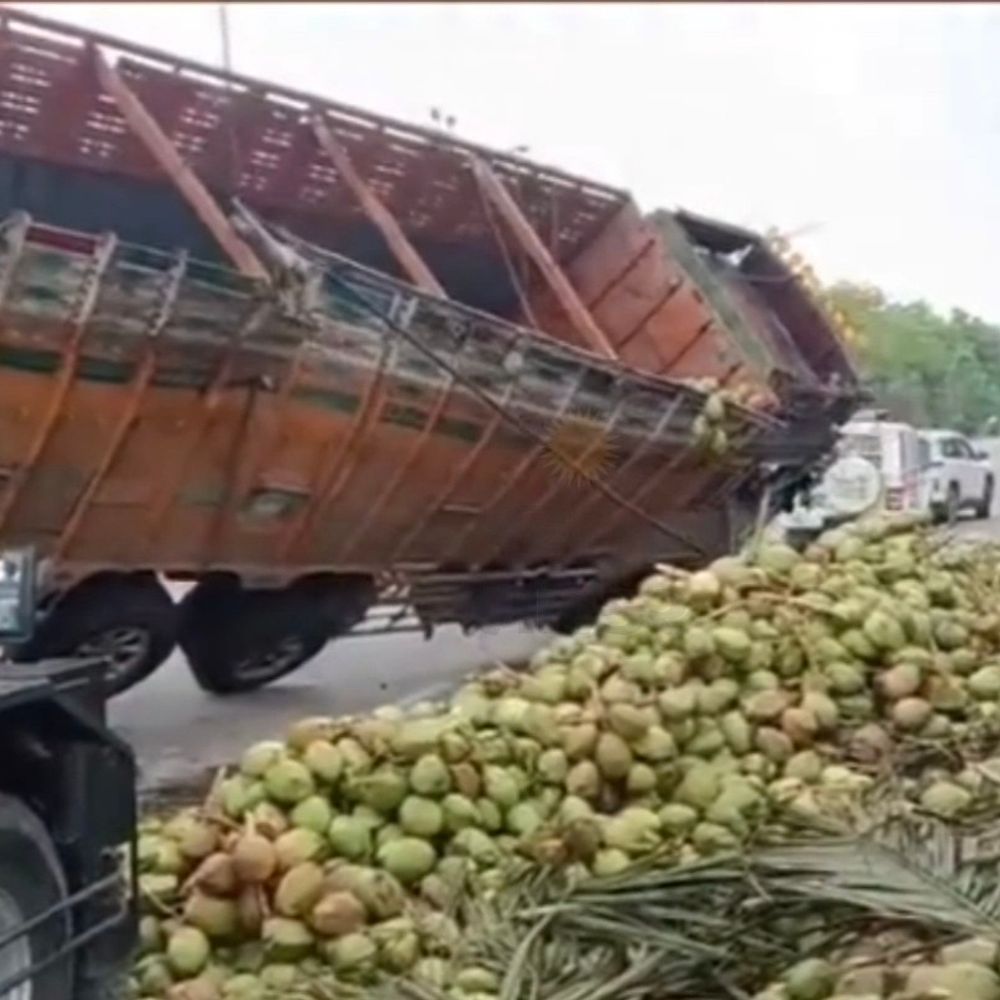 ગોધરા નજીક નારિયેળ ભરેલી ટ્રક પલટી:અકસ્માત બાદ લોકો રોડ પર વેરાયેલા નારિયેળ લઈ જતા જોવા મળ્યા