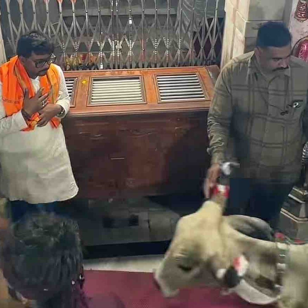 21 ગૌમાતા વેદના પગયાત્રા દ્વારકા પહોંચી:ગૌરક્ષા અને માનવતા જાગૃતિનો સંદેશ અપાયો