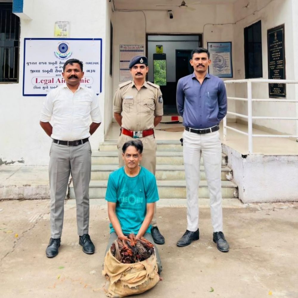ભરૂચ પોલીસે શંકાસ્પદ કોપર વાયર સાથે એકને ઝડપ્યો:નોકરી ચોરી અને ચેક બાઉન્સના બે ફરાર આરોપી પણ પકડાયા
