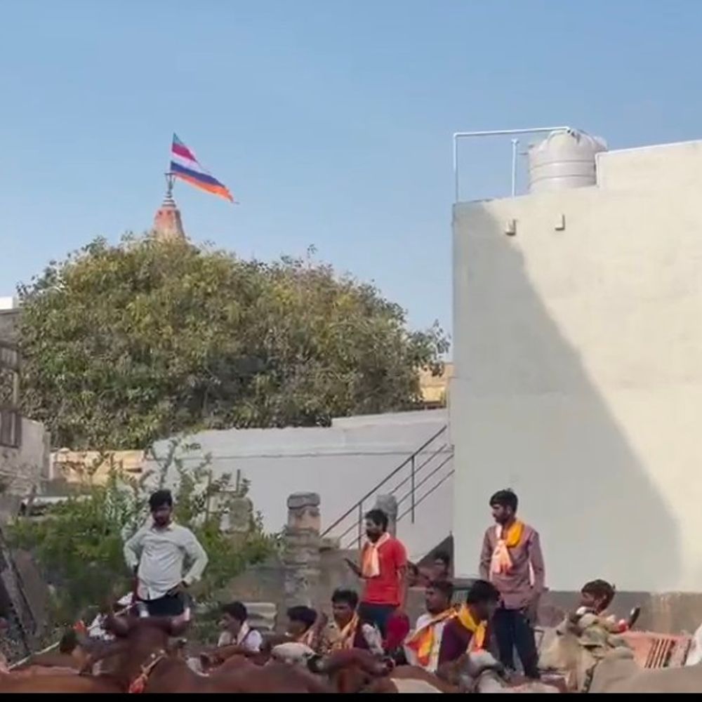 21 ગૌમાતા સાથે લાઠીદડથી દ્વારકા પગપાળા યાત્રા:યુવાને લોહીથી પત્ર લખી ગૌરક્ષાનો સંદેશ આપ્યો