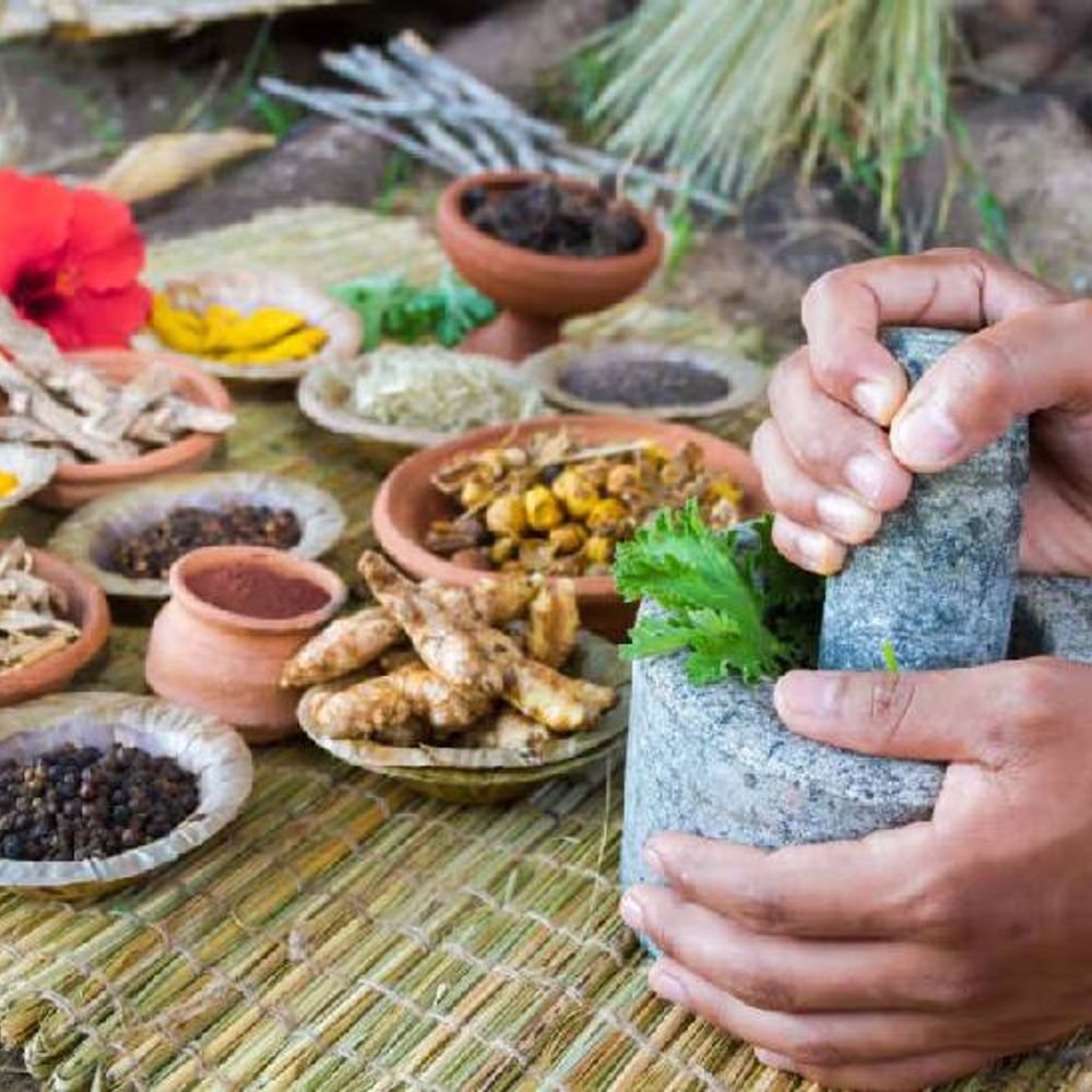 જડીબુટ્ટીઓ, આયુર્વેદિક ફોર્મ્યુલેશન માટે ક્લિનિકલ ટ્રાયલ જરૂરી:જીવનની ગુણવત્તા સુધારવા માટે ભારતમાં જ નહીં, હવે દુનિયાભરમાં અપનાવવામાં આવી રહ્યું છે 'વૈજ્ઞાનિક-આયુર્વેદ'