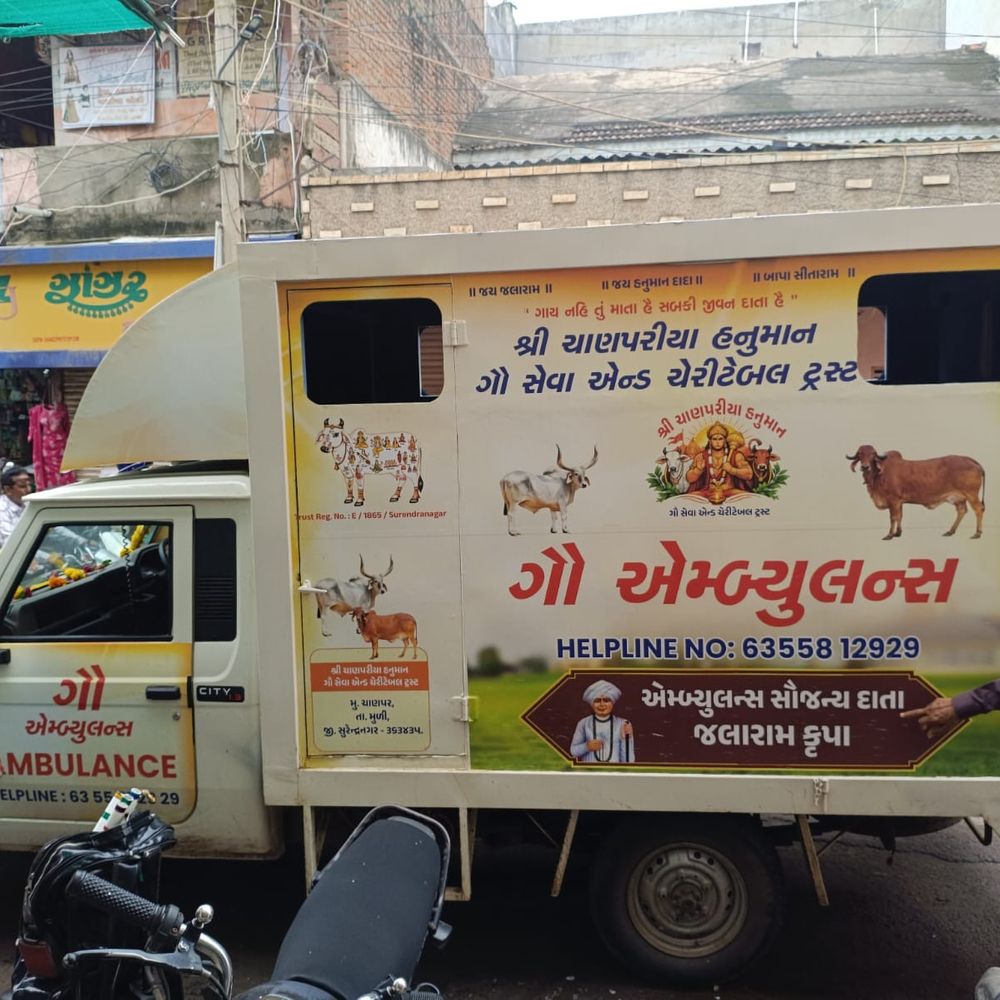 સુરેન્દ્રનગરમાં ગૌ સેવા માટે નવી એમ્બ્યુલન્સ શરૂ:ચાણપર હનુમાન ટ્રસ્ટ દ્વારા નિરાધાર ગૌવંશને મદદ