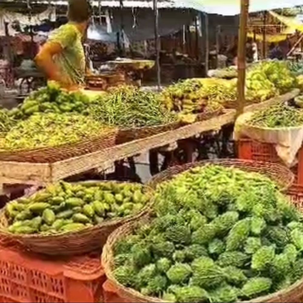 ભારે વરસાદથી શાકભાજીના ભાવમાં વધારો:ટામેટા-કોબીના ભાવ બમણા, વાહન વ્યવહાર ખોરવાતા આવક ઘટી; આગામી દિવસોમાં હજુ ભાવ વધી શકે