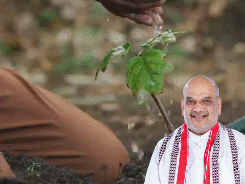 અમિત શાહના હસ્તે ₹405 કરોડના વિકાસ કાર્યો અને 101 ઓક્સિજન પાર્કનું લોકાર્પણ