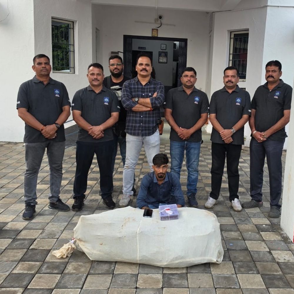 ધરમપુરમાં 20 ગાંજાના છોડ સાથે યુવક ઝડપાયો:SOGએ ₹9.55 લાખનો મુદ્દામાલ જપ્ત કર્યો, અંતરિયાળ વિસ્તારમાં વાવેતર