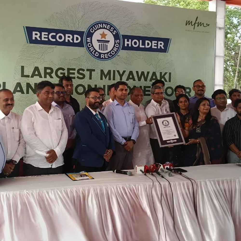 અમદાવાદમાં એક જ કલાકમાં 3.61 લાખ વૃક્ષ રોપાયા:'ગાંધીનગર લોકસભા, હરિયાળી લોકસભા' અંતર્ગત ગિનિઝ બુક ઓફ વર્લ્ડ રેકોર્ડ નોંધાયો, 25 હજાર વોલન્ટિયર્સ જોડાયા