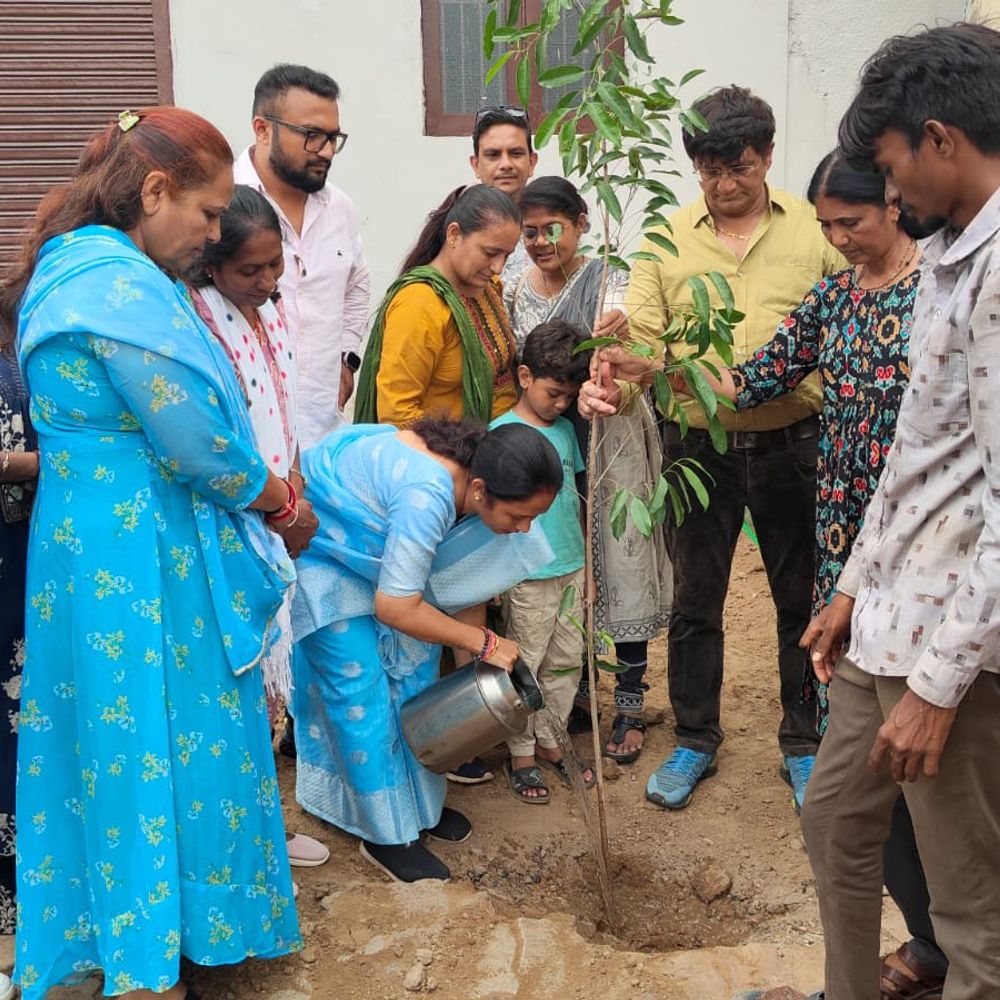 પાટણમાં નગરસેવકો દ્વારા વૃક્ષારોપણ કરવામાં આવ્યું:પર્યાવરણ સંરક્ષણનો સંદેશ આપવા શહેરમાં કરાયું વૃક્ષારોપણ