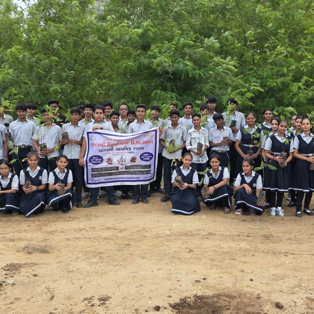 અમદાવાદમાં વલભી વિદ્યાવિહારના વિદ્યાર્થીઓએ 5000 વૃક્ષો વાવ્યા:નવા વાડજમાં AMC પ્લોટમાં સામુહિક વૃક્ષારોપણ કરાયું