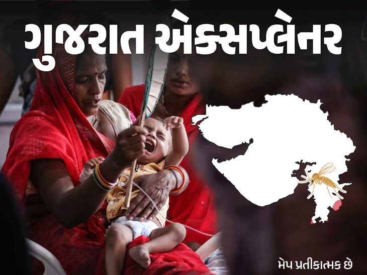 ગુજરાતમાં ચાંદીપુરા વાયરસનો ખતરો: 12 બાળકોના મોત, શહેરી બાળકો પણ જોખમમાં