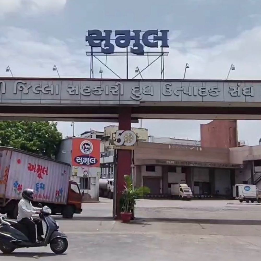 સુમુલ ડેરીની ચૂંટણીને ભાજપે પ્રતિષ્ઠાનો જંગ બનાવ્યો:9 બેઠકો પર કાંટાની ટક્કર, 15મીએ મતદાન અને 17મીએ પરિણામ; મુકેશ પટેલ અને ગણપત વસાવાએ મોરચો સંભાળ્યો