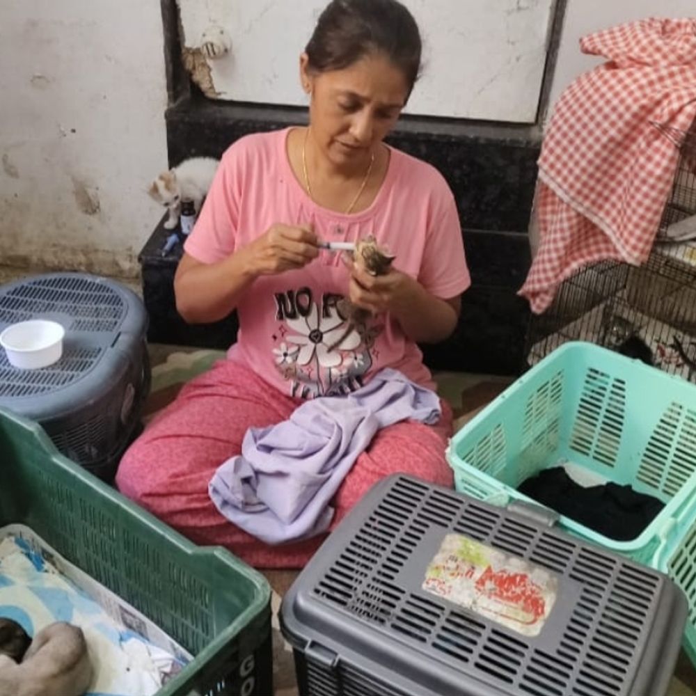 ઉદય કારાવદરા ટ્રસ્ટને AWBI માન્યતા: પોરબંદર જિલ્લાની પ્રથમ અને એકમાત્ર સંસ્થા