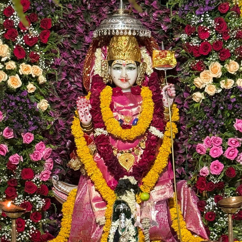 પાટણમાં ખોડિયાર માતાજીની પાલખી યાત્રા યોજાઈ:અષાઢી બીજે પાટોત્સવ નિમિત્તે શ્રદ્ધાળુઓ ઉમટ્યા