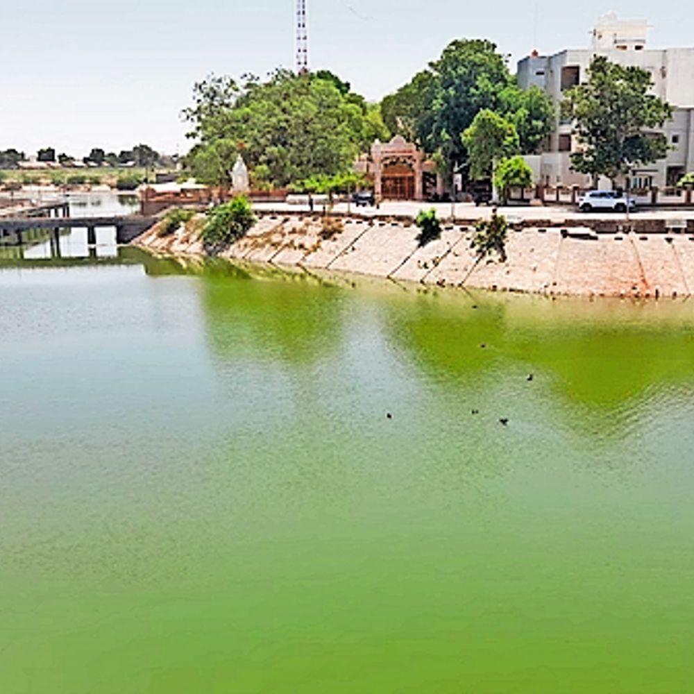 થાનગઢના મોટા-નાના તળાવમાં પાણીની આવક બંધ, તંત્રની બેદરકારી સામે લોકોમાં રોષ