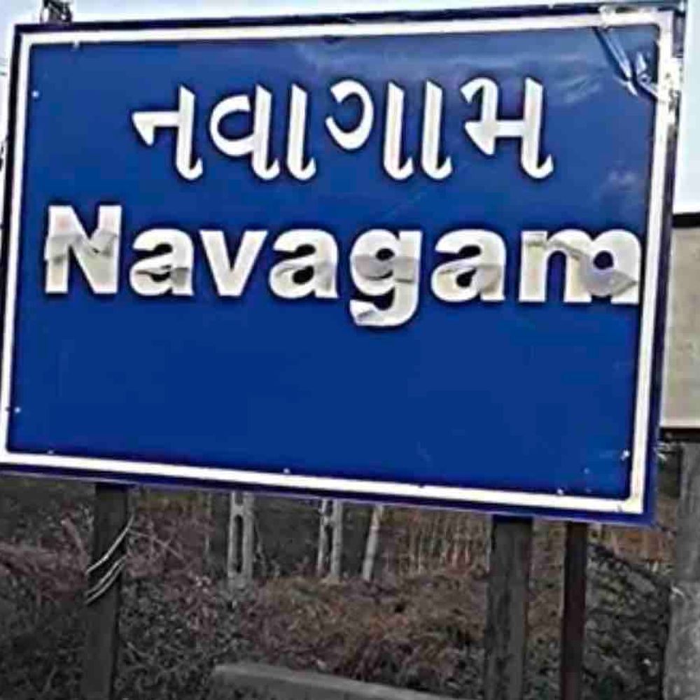 નવાગામમાં રિલાયન્સના આર્થિક સહયોગથી આધુનિક ગૌશાળા કાર્યરત:ઉદ્યોગ અને ગ્રામ પંચાયતના સમન્વયથી પશુકલ્યાણની ઉત્કૃષ્ટ પહેલ