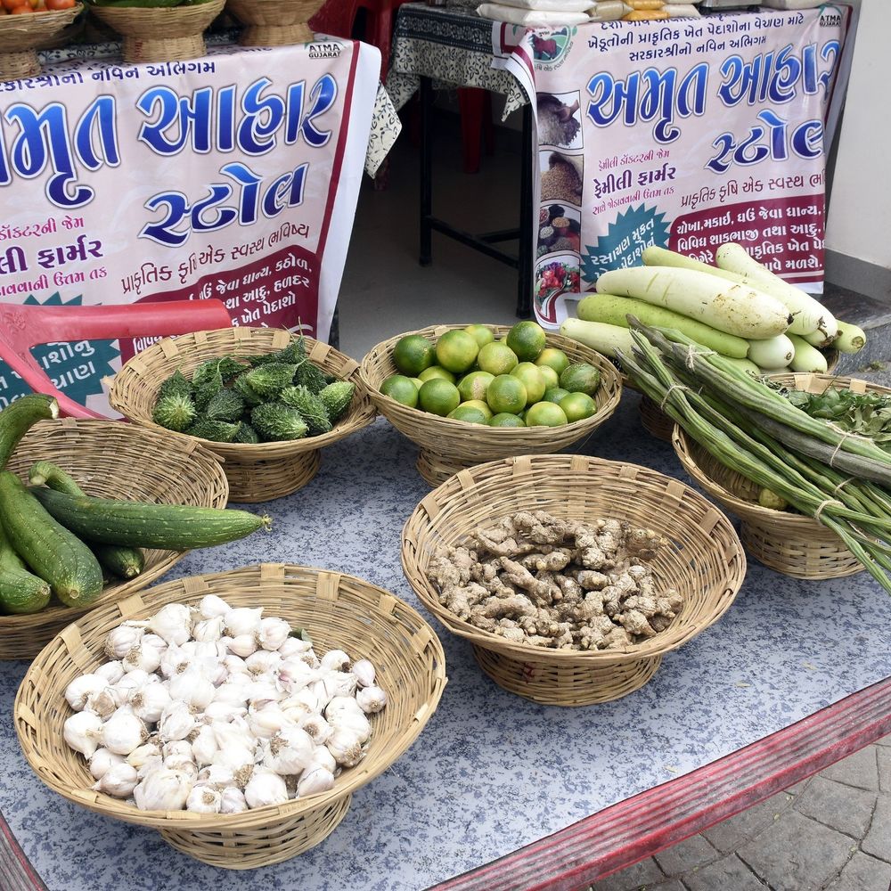 દાહોદના છાબ તળાવ ખાતે 'પ્રાકૃતિક ખેત પેદાશ વેચાણ કેન્દ્ર' કાર્યરત:માત્ર 7 દિવસમાં રૂપિયા 20 હજારની બમ્પર આવક