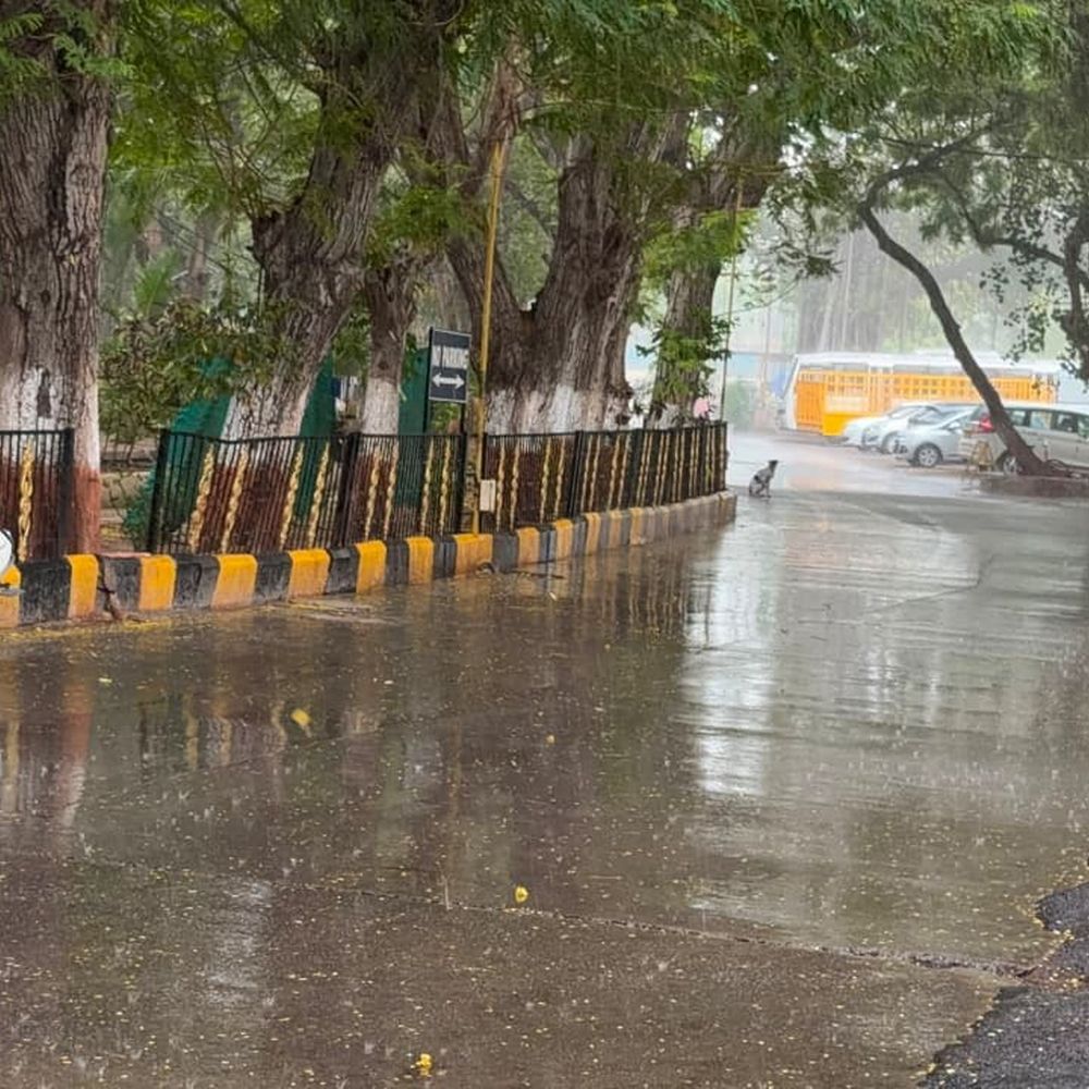 હાલારમાં મેઘકૃપાની રાહ: જાહેરાત વચ્ચે ઝાપટાં