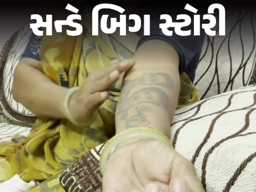 ચોમાસામાં ગુજરાતમાં 743 મોત