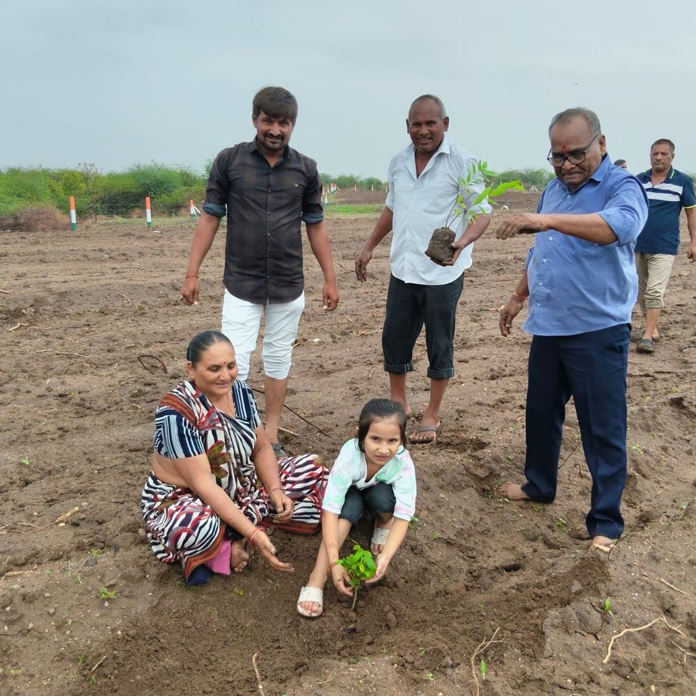 માનસર ગામે 20 વિઘામાં વૃક્ષારોપણ મહાઅભિયાન:પર્યાવરણ જાગૃતિ સાથે ખેડૂતોની બેઠક યોજાઈ, સમૂહ ભોજન સાથે સમાપન