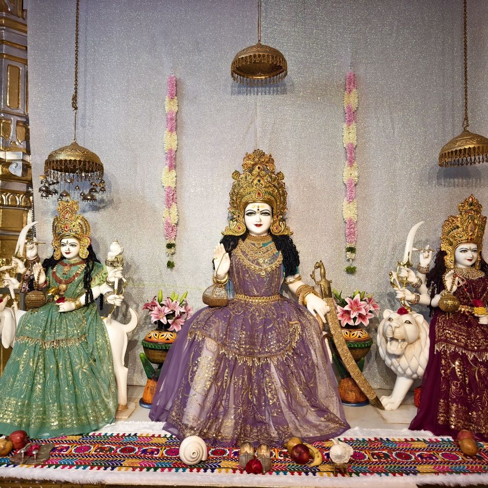 બોટાદના સહકારનગર જીવદયા ગ્રુપે મોગલધામ તરઘરાના દર્શન કર્યા:માતાજીએ અબોલ જીવોની સેવા બદલ ગ્રુપને આશીર્વાદ આપ્યા