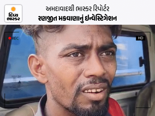 શહેરોમાં ફરતી કચરા ગાડીઓ: મોટાભાગના ડ્રાઇવરો મધ્યપ્રદેશના, લાયસન્સ શંકાસ્પદ