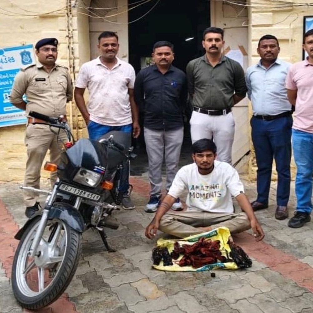 વઢવાણ પોલીસ જાપ્તામાંથી ચોરીનો આરોપી ઘનશ્યામ કાંજિયા હોસ્પિટલમાંથી ફરાર:મેડિકલ ચેકઅપ વખતે બાથરૂમ જવાનું બહાનું કાઢી કોપર વાયર ચોરીનો આરોપી નાસી છૂટ્યો