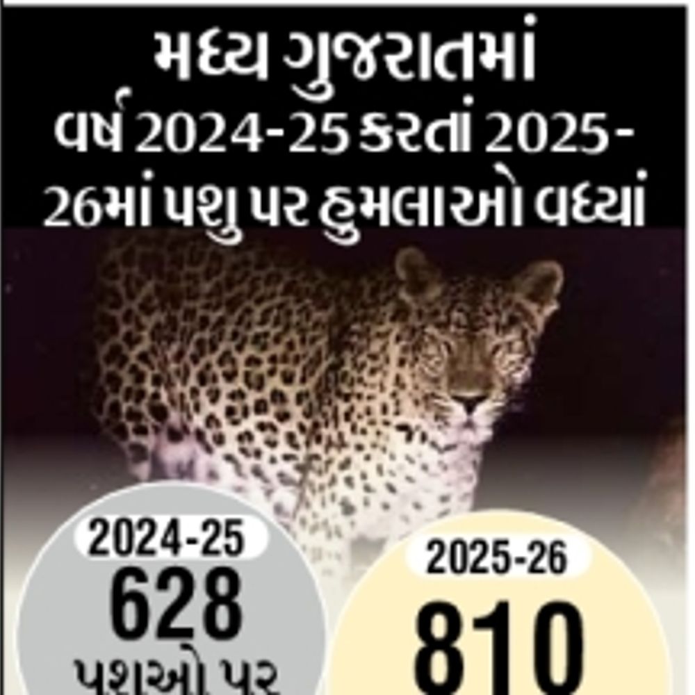 દીપડાના હુમલા રોકવા 5 નવા બ્રીડિંગ સેન્ટર બન્યાં: સસલાં-હરણ ઉછેરી વનમાં છોડાશે