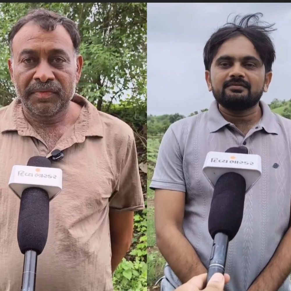 વિસાવદરના જાંબુડીમાં દીપડાનો આતંક:છેલ્લા 6 મહિનાથી ગ્રામજનો, ખેડૂતો અને પશુપાલકોમાં ફફડાટ, વન વિભાગ તાત્કાલિક દીપડાઓને પાંજરે પૂરે તેવી માગ