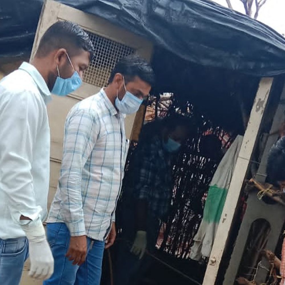 ચાંદીપુરા વાયરસનો પંજો વધુ મજબૂત:માણસા તાલુકાના ચરાડામાંથી ત્રીજો પોઝિટિવ કેસ આવતાં ફફડાટ, બાળકની હાલત ગંભીર; 50 ઘરોમાં સર્વે કરાયો