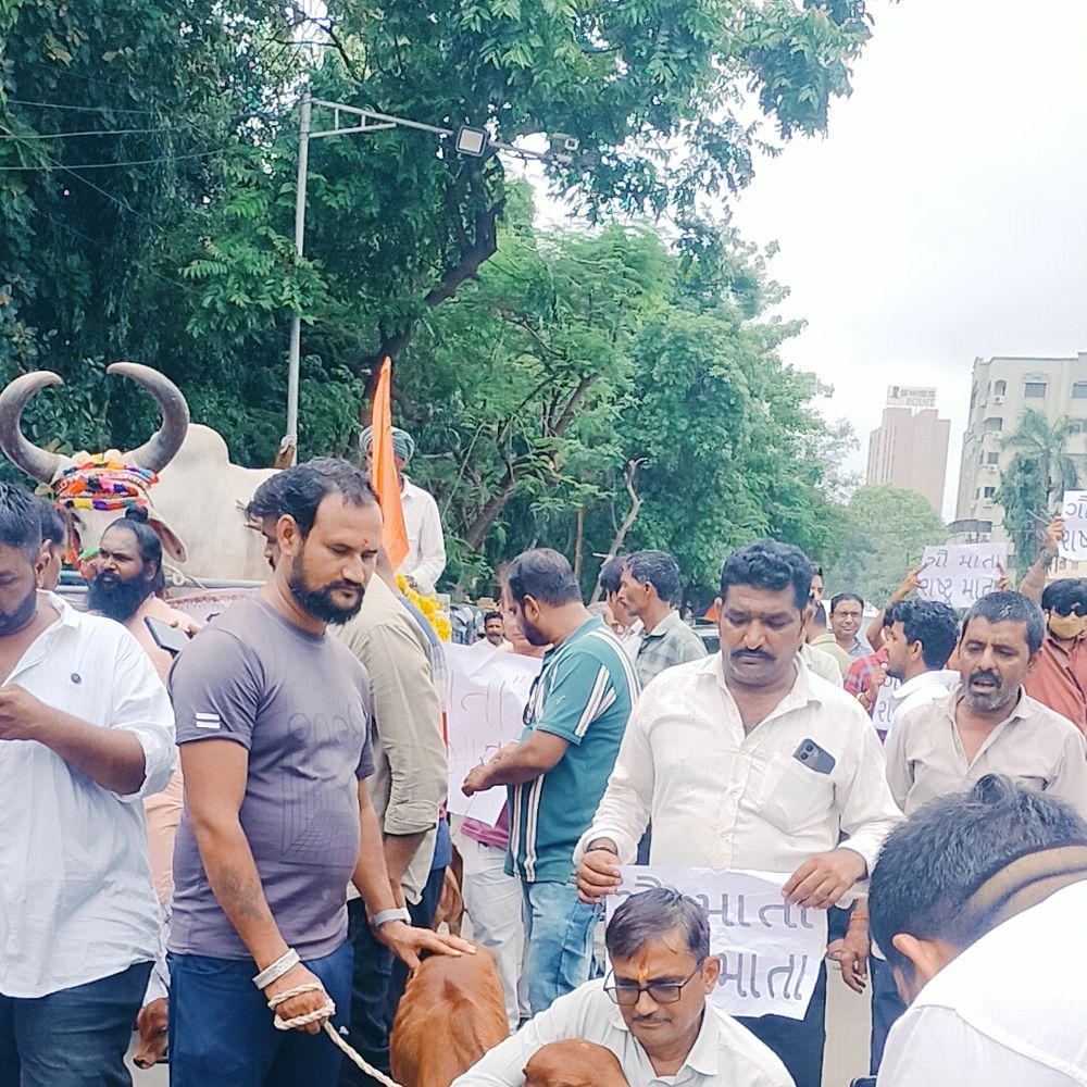 નવસારીમાં ગૌરક્ષકોની રેલી: રાષ્ટ્રપતિને સંબોધી કલેક્ટરને આવેદન, ગૌમાતાને રાષ્ટ્રમાતા જાહેર કરવાની માંગ