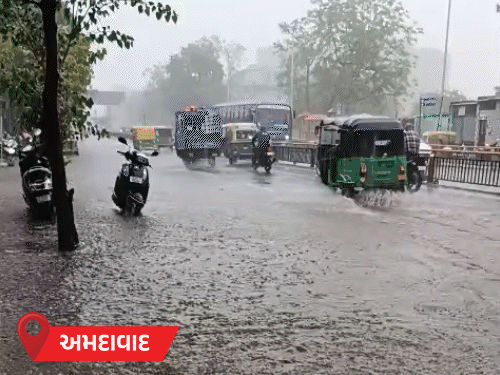 ગુજરાતમાં રેડ એલર્ટ: 10 જિલ્લામાં સ્કૂલો-કોલેજોમાં રજા