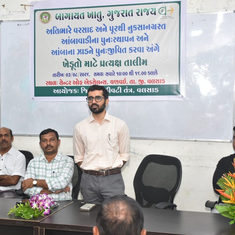 વલસાડમાં પૂરગ્રસ્ત આંબાવાડીઓ માટે અનોખી પહેલ:નાયબ બાગાયત નિયામકની કચેરી દ્વારા 120થી વધુ ખેડૂતોને વૈજ્ઞાનિક તાલીમ અપાઈ