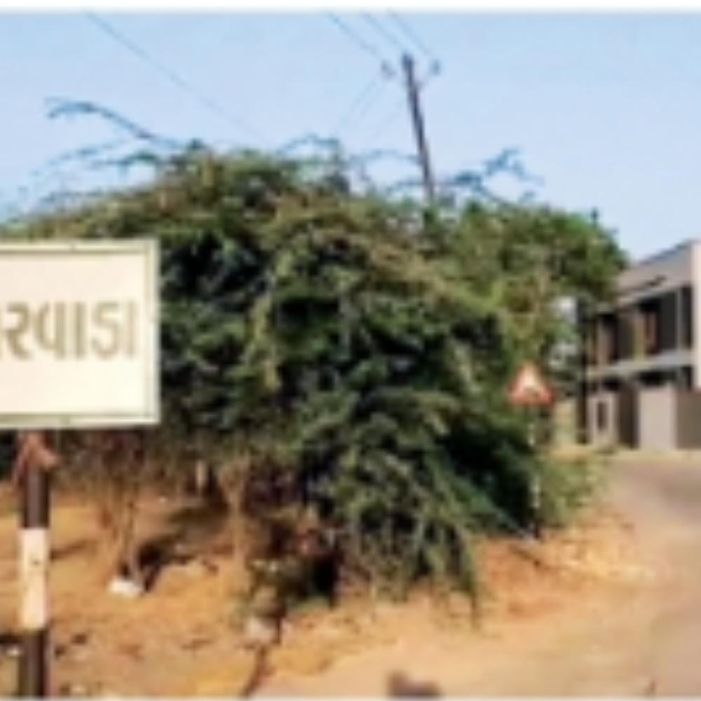 મઘરવાડા ગામ: 2700ની વસ્તીમાં 75% સાક્ષરતા દર, શિક્ષણનું વધતું પ્રમાણ