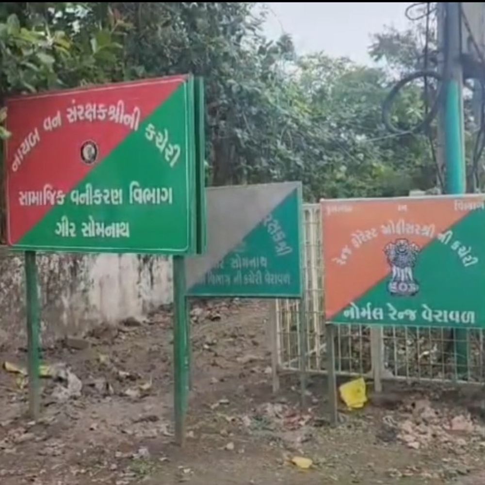 સુત્રાપાડામાં સિંહ દર્શનની પેરવી કરનાર યુવકોને અટકાવતા વનકર્મી સાથે બબાલ:5થી વધુ યુવકોએ મારામારી કરી હોવાનો આક્ષેપ, ફરજમાં રુકાવટ બદલ કાર્યવાહી કરાશે