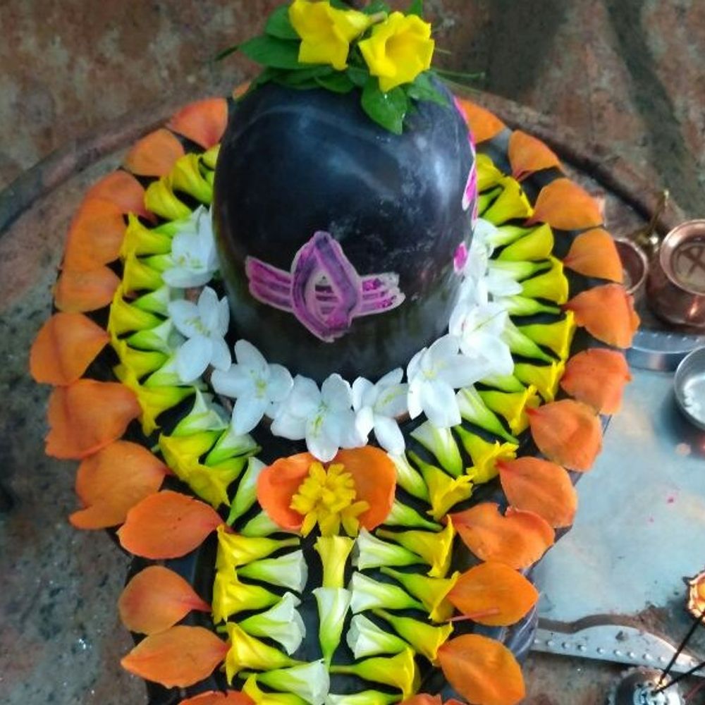શ્રાવણમાં ઘરે બેઠાં કરો ભોળાનાથની પૂજા:ઘરમાં શિવલિંગ રાખતી વખતે આ ભૂલો ન કરો; જાણો યોગ્ય કદ, ધાતુ અને પૂજાના સાચા નિયમો