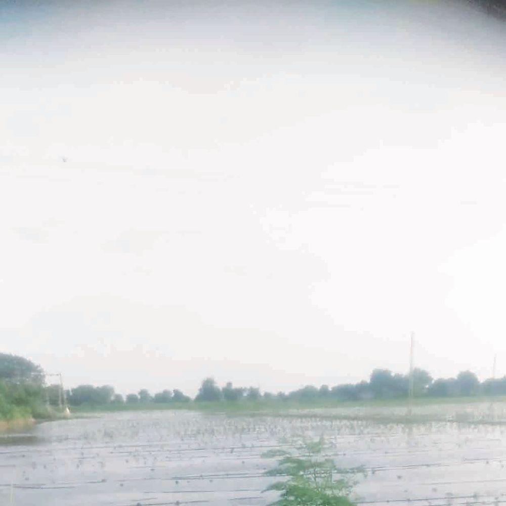 વરસાદી પાણીના નિકાલની તાકીદની માંગ: પ્રાણગઢના ૧૫૦ વીઘા પાક નષ્ટ થવાના આરે