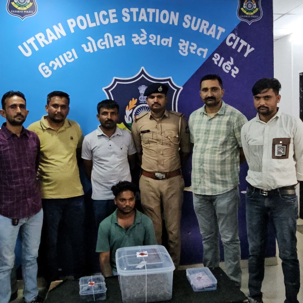 1 કિલો ગાંજા સાથે એક આરોપી ઝડપાયો:રૂ. 96 હજારથી વધુનો મુદ્દામાલ જપ્ત, સુરતના ઉત્રાણ ગામમાં પોલીસનો દરોડો