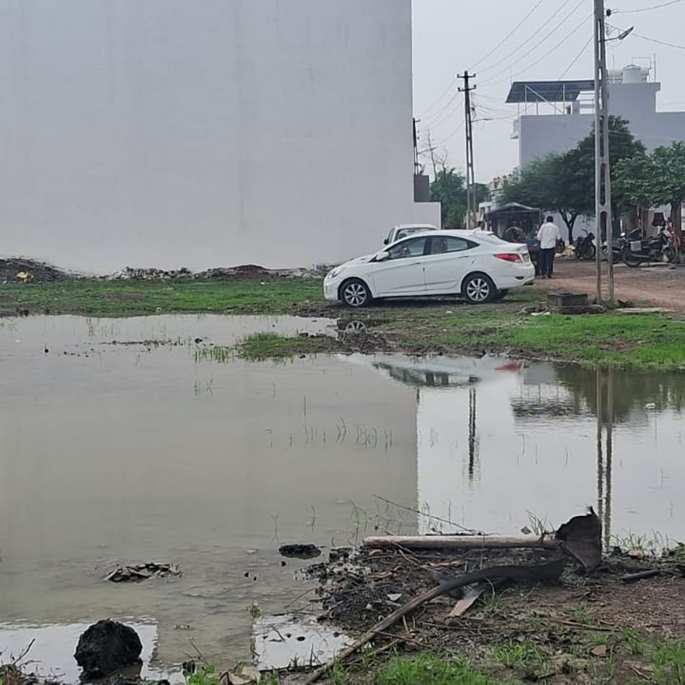 જામનગર શહેરમાં મચ્છરોનો ઉપદ્રવ