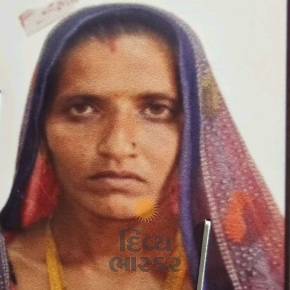 ડેમલી ગ્રામ પંચાયત સરપંચ સામે અવિશ્વાસની દરખાસ્ત પસાર:મંજુલાબેન ભરવાડ વિરુદ્ધ 9 સભ્યએ ટેકો આપ્યો